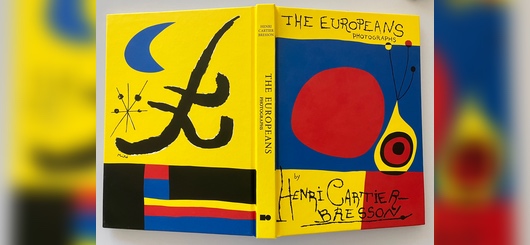 Vorder- und Rückseite des Covers der englischen Ausgabe von Les Europäers - The Eurpoeans